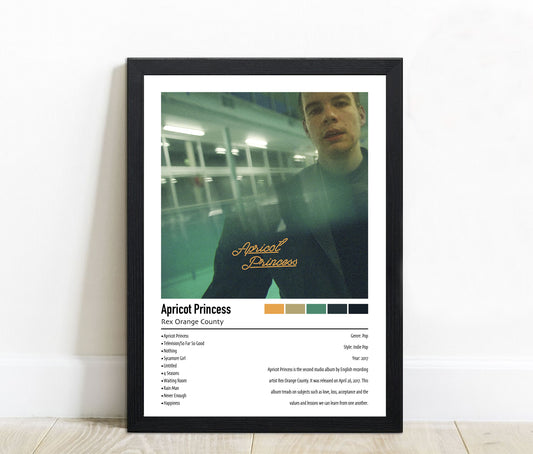 Rex Orange County | Apricot Princess | Custom Album Cover Poster Print