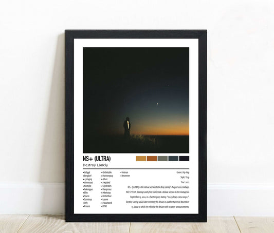 Destroy Lonely | NS+ (ULTRA) | Custom Album Cover Poster Print