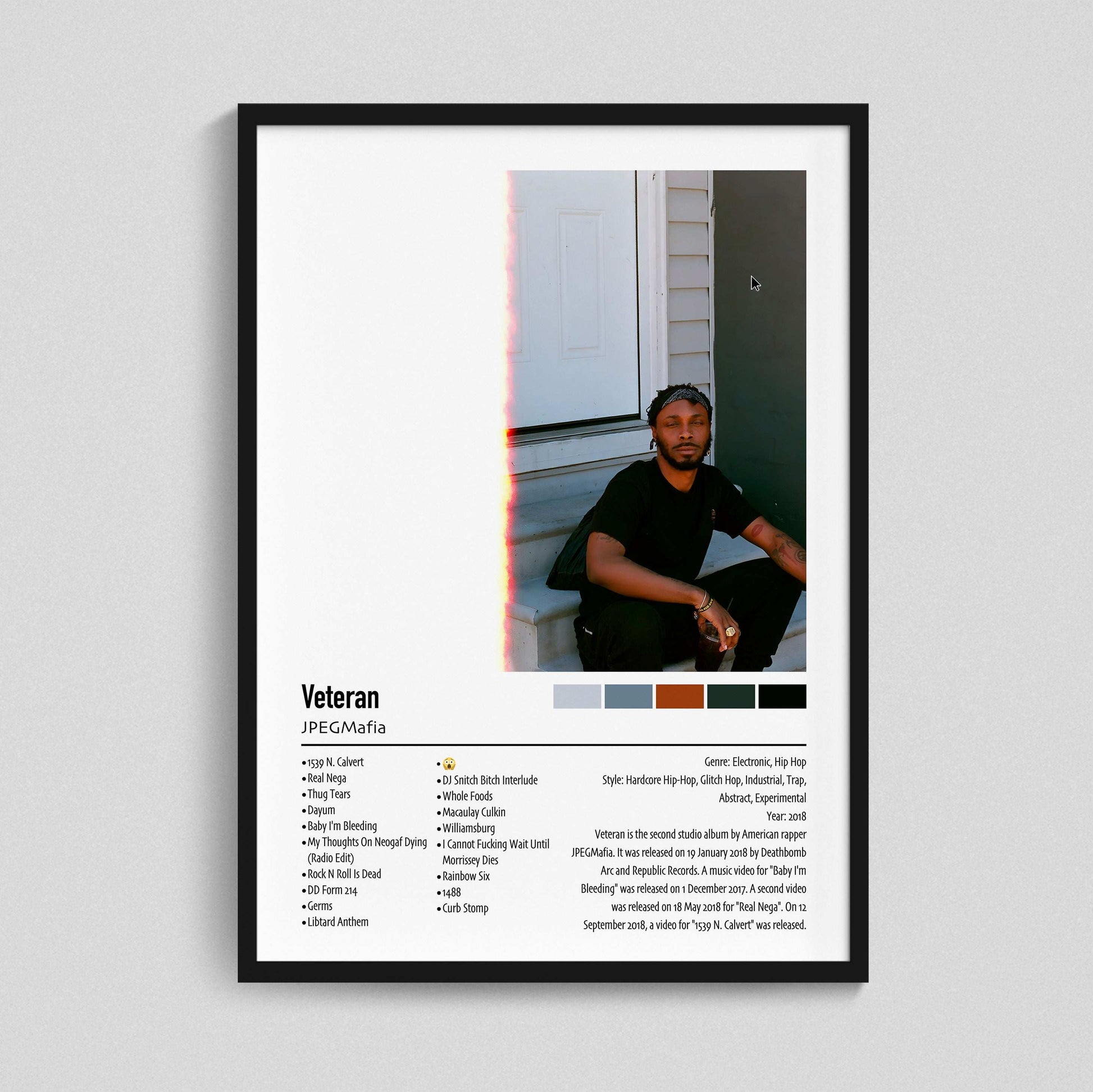 JPEGMafia | Veteran | Custom Album Cover Poster Print
