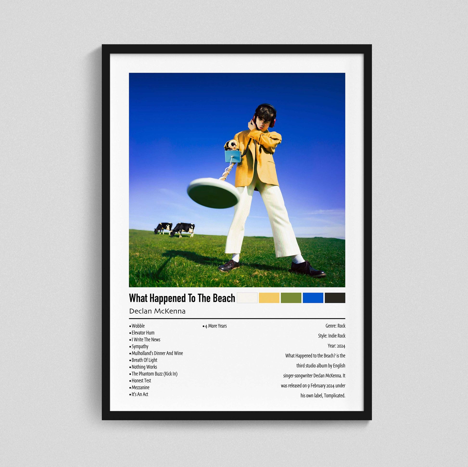 Declan McKenna | What Happened To The Beach | Custom Album Cover Poster Print
