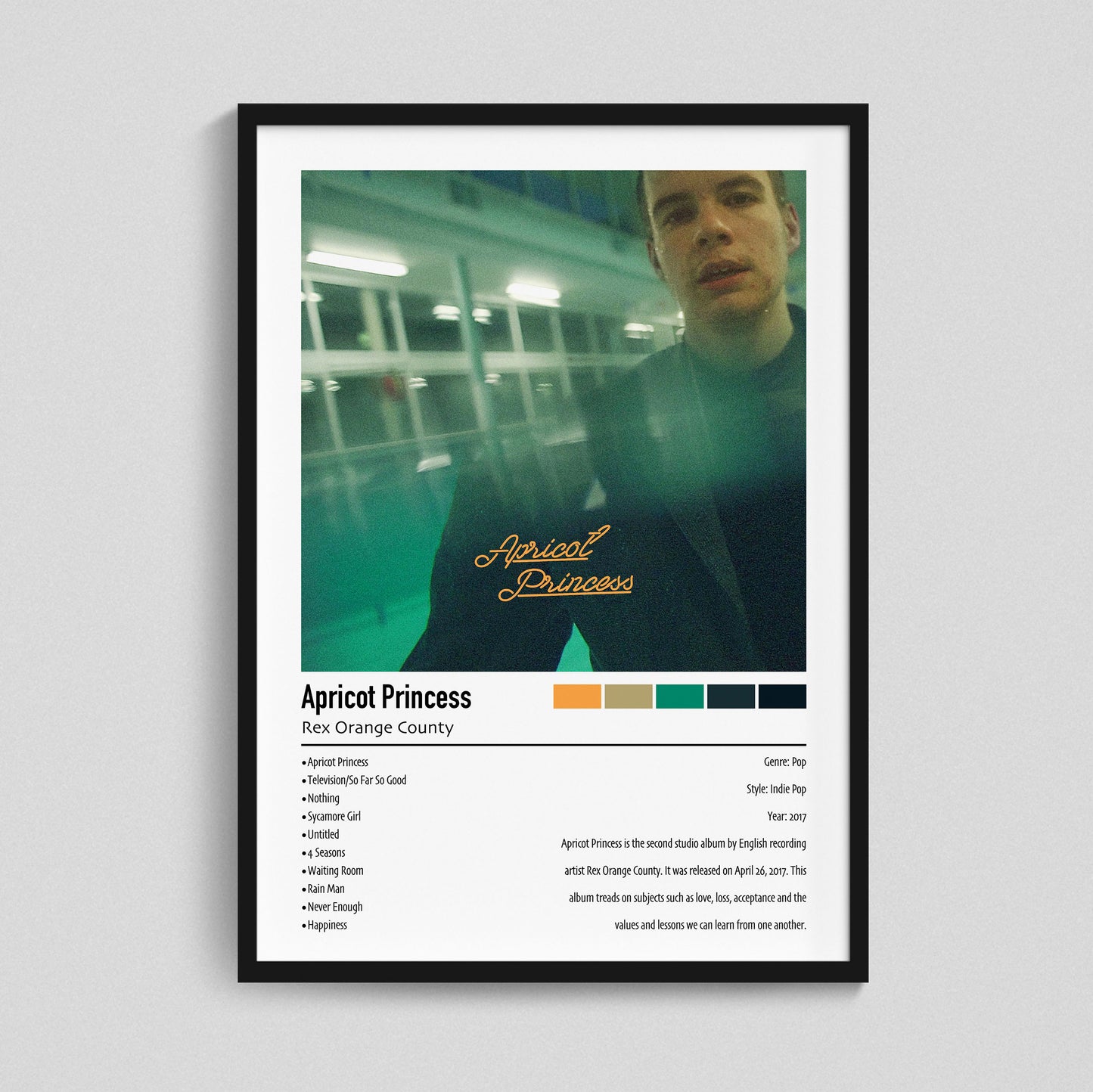 Rex Orange County | Apricot Princess | Custom Album Cover Poster Print
