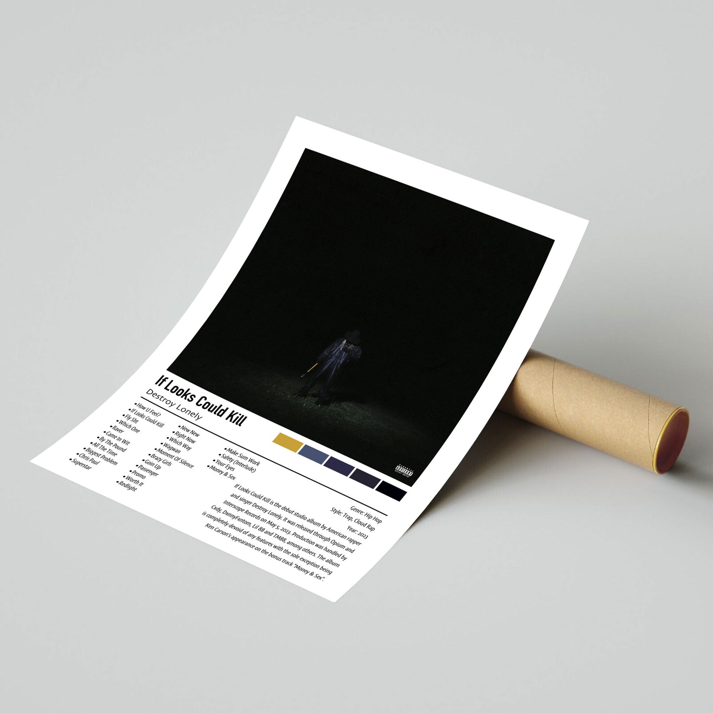 Destroy Lonely | If Looks Could Kill | Custom Album Cover Poster Print